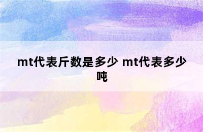 mt代表斤数是多少 mt代表多少吨